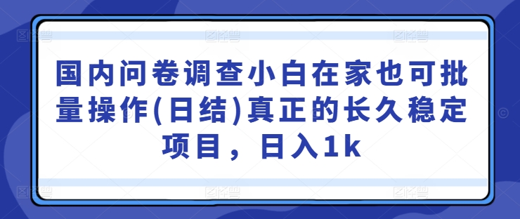 国内问卷调查小白在家也可批量操作(日结)真正的长久稳定项目,日入1k【揭秘】-水滴知识网