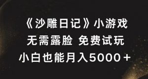 《沙雕日记》小游戏,无需露脸免费试玩,小白也能月入5000+【揭秘】-水滴知识网