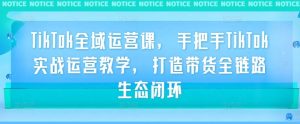 TikTok全域运营课,手把手TikTok实战运营教学,打造带货全链路生态闭环-水滴知识网