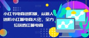 小红书电商进阶版,从新人进阶小红薯电商大佬,全方位玩透红薯电商-水滴知识网