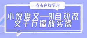 小说推文—AI自动改文千万播放实操-水滴知识网