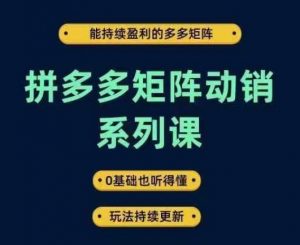 拼多多矩阵动销系列课，能持续盈利的多多矩阵，0基础也听得懂，玩法持续更新-水滴知识网