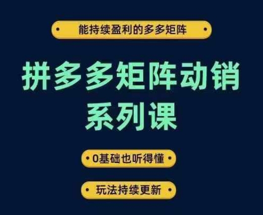 拼多多矩阵动销系列课，能持续盈利的多多矩阵，0基础也听得懂，玩法持续更新-水滴知识网