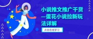 小说推文推广干货—蛋花小说拉新玩法详解-水滴知识网