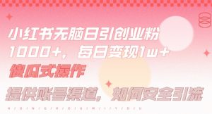 小红书无脑每日引流创业粉500+，小白每天只花半小时，躺赚长尾收益【揭秘】-水滴知识网