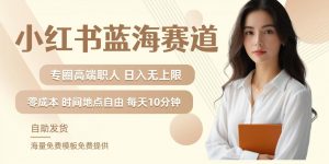 小红书蓝海赛道,圈中高端职场人,月入无上限,可矩阵,内含私域实操教程!-水滴知识网