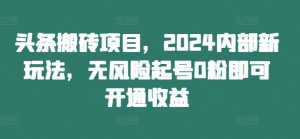 头条搬砖项目,2024内部新玩法,无风险起号0粉即可开通收益-水滴知识网