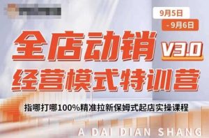 全店动销经营模式特训营,指哪打哪100%精准拉新保姆式起店实操课程-水滴知识网