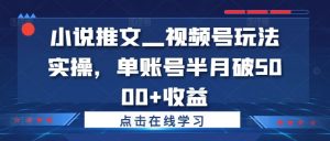 小说推文—视频号玩法实操,单账号半月破5000+收益-水滴知识网