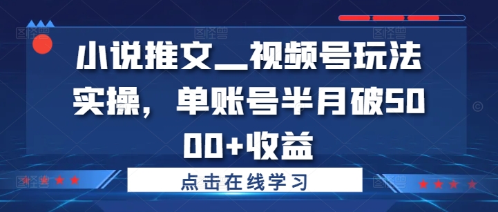 小说推文—视频号玩法实操,单账号半月破5000+收益-水滴知识网