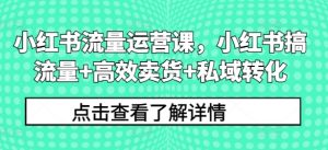 小红书流量运营课,小红书搞流量+高效卖货+私域转化-水滴知识网