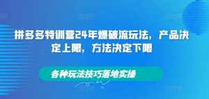 拼多多特训营24年爆破流玩法,产品决定上限,方法决定下限,各种玩法技巧落地实操-水滴知识网