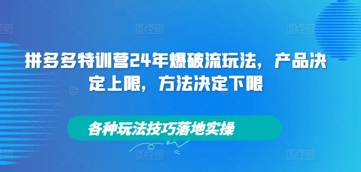 拼多多特训营24年爆破流玩法,产品决定上限,方法决定下限,各种玩法技巧落地实操-水滴知识网