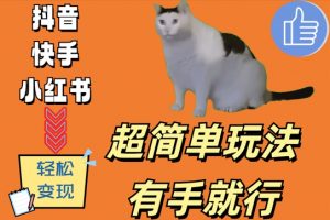超简单玩法，有手就行，靠猫咪视频日入500+【揭秘】-水滴知识网