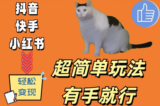 超简单玩法，有手就行，靠猫咪视频日入500+【揭秘】-水滴知识网