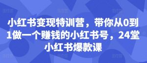 小红书变现特训营，带你从0到1做一个赚钱的小红书号，24堂小红书爆款课-水滴知识网