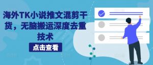 海外TK小说推文混剪干货,无脑搬运深度去重技术-水滴知识网
