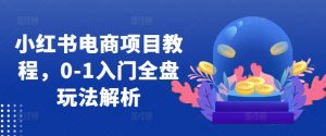 小红书电商项目教程，0-1入门全盘玩法解析-水滴知识网
