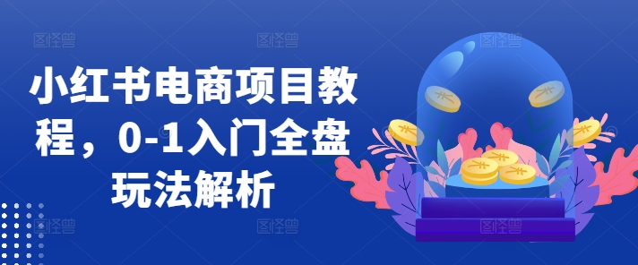 小红书电商项目教程，0-1入门全盘玩法解析-水滴知识网
