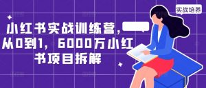 小红书实战训练营,从0到1,6000万小红书项目拆解-水滴知识网