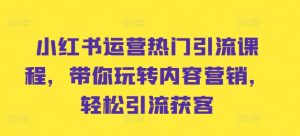 小红书运营热门引流课程,带你玩转内容营销,轻松引流获客-水滴知识网