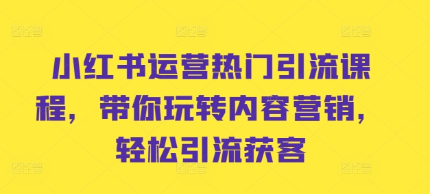 小红书运营热门引流课程,带你玩转内容营销,轻松引流获客-水滴知识网