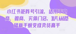 小红书矩阵号引流,适用于电商、微商、实体门店,30天从0基础新手蜕变成卖货高手-水滴知识网