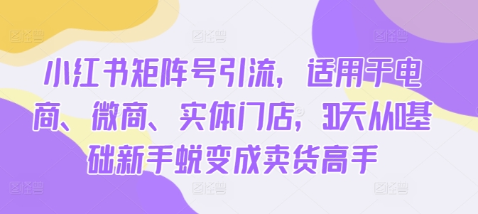小红书矩阵号引流,适用于电商、微商、实体门店,30天从0基础新手蜕变成卖货高手-水滴知识网