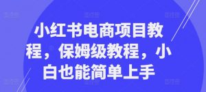 小红书电商项目教程，保姆级教程，小白也能简单上手-水滴知识网