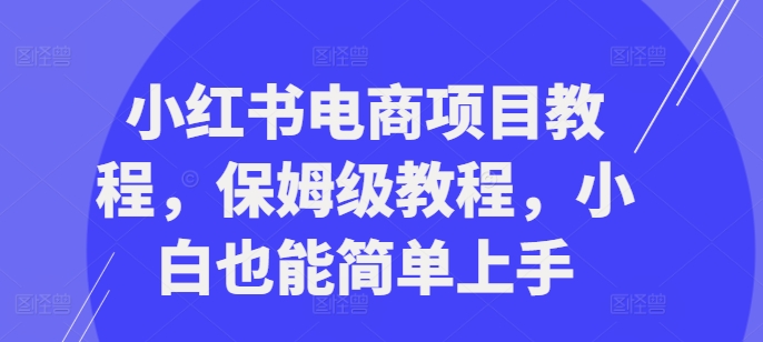 小红书电商项目教程，保姆级教程，小白也能简单上手-水滴知识网
