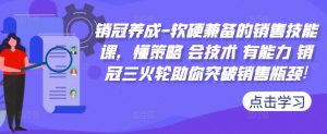 销冠养成-软硬兼备的销售技能课,懂策略 会技术 有能力 销冠三火轮助你突破销售瓶颈!-水滴知识网
