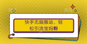 快手无脑搬运,轻松引流宝妈粉,纯小白轻松上手【揭秘】-水滴知识网