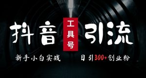 2024最新抖音工具号引流玩法,高效日引300+创业粉,当天变现5k,小白也可成为实战高手-水滴知识网