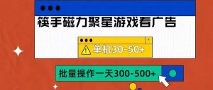 筷手磁力聚星4.0实操玩法,单机30-50+可批量放大【揭秘】-水滴知识网