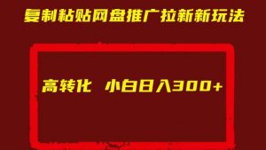 复制粘贴网盘推广拉新新玩法高转化小白日入300+【揭秘】-水滴知识网