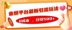音频平台最新引流玩法,0成本,日引500+【揭秘】-水滴知识网