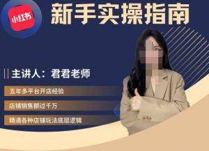 君君-小红书电商从入门到精通,新手实操指南-水滴知识网