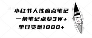 小红书人性痛点笔记,一条笔记点赞3W+,单日变现1k-水滴知识网
