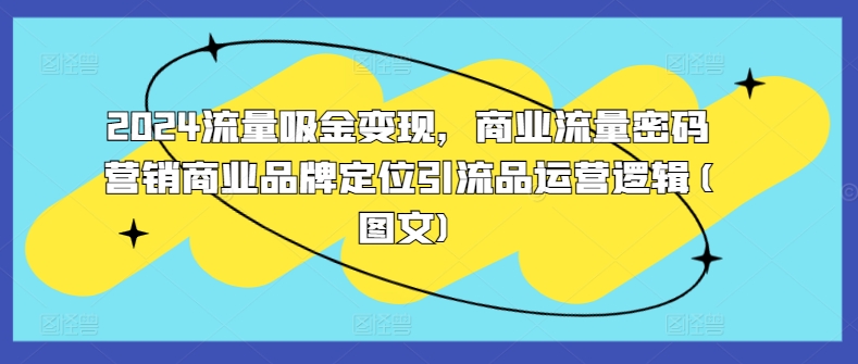 2024流量吸金变现，商业流量密码营销商业品牌定位引流品运营逻辑(图文)-水滴知识网