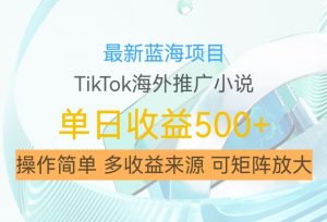 最新蓝海项目,利用tiktok海外推广小说赚钱佣金,简单易学,日入500+,可矩阵放大【揭秘】-水滴知识网