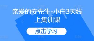 亲爱的安先生-小白3天线上集训课-水滴知识网