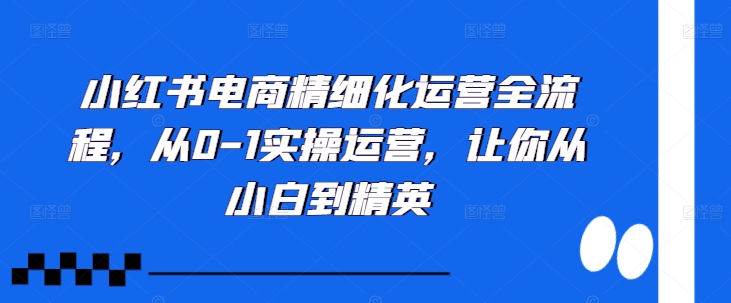 小红书电商精细化运营全流程,从0-1实操运营,让你从小白到精英-水滴知识网