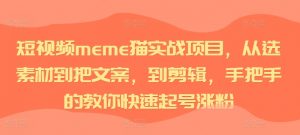 短视频meme猫实战项目，从选素材到把文案，到剪辑，手把手的教你快速起号涨粉-水滴知识网