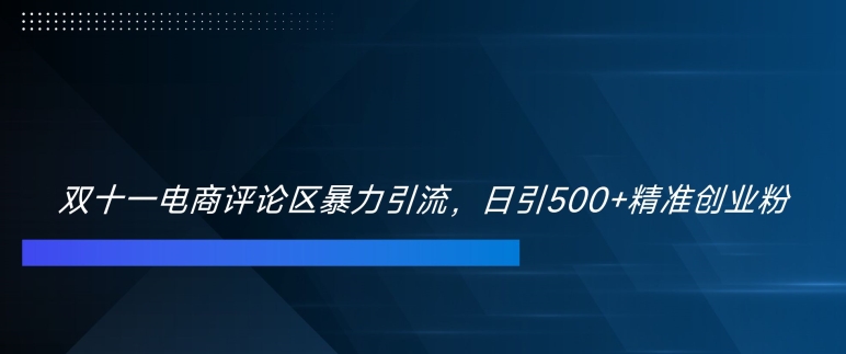 双十一电商评论区暴力引流，日引500+精准创业粉【揭秘】-水滴知识网