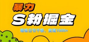 单人单机日引千粉，变现1k+，S粉流量掘金计划攻略【揭秘】-水滴知识网