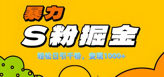 单人单机日引千粉，变现1k+，S粉流量掘金计划攻略【揭秘】-水滴知识网