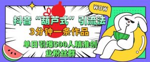 抖音葫芦式引流法,三分钟一条作品,单日引爆抖音500人精准创业粉丝群【揭秘】-水滴知识网