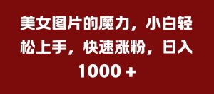 美女图片的魔力,小白轻松上手,快速涨粉,日入几张【揭秘】-水滴知识网