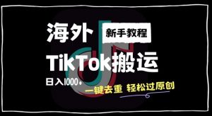 2024最新海外TikTok搬运玩法,一键去重轻松过原创,新手无经验也能日入1k【揭秘】-水滴知识网