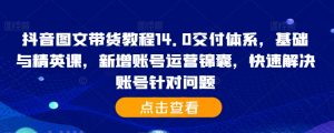 抖音图文带货教程14.0交付体系,基础与精英课,新增账号运营锦囊,快速解决账号针对问题-水滴知识网